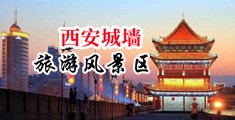 黑大屌操欧美屄中国陕西-西安城墙旅游风景区